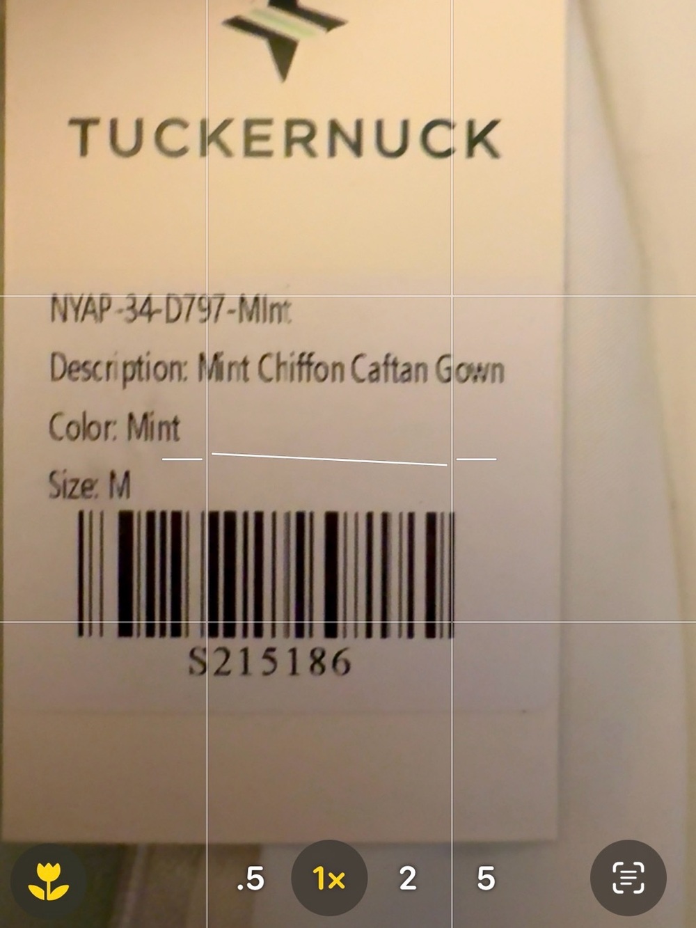 Tuckernuck Mint Chiffon Rainer Caftan Gown - Picture 3 of 3